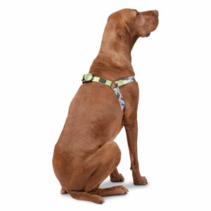 Arnés Para Perro Bruno De Caminata TOTTO PET´S Talla Extra Grande