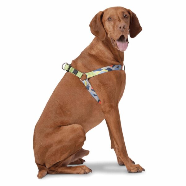 Arnés Para Perro Bruno De Caminata TOTTO PET´S Talla Extra Grande - Imagen 2
