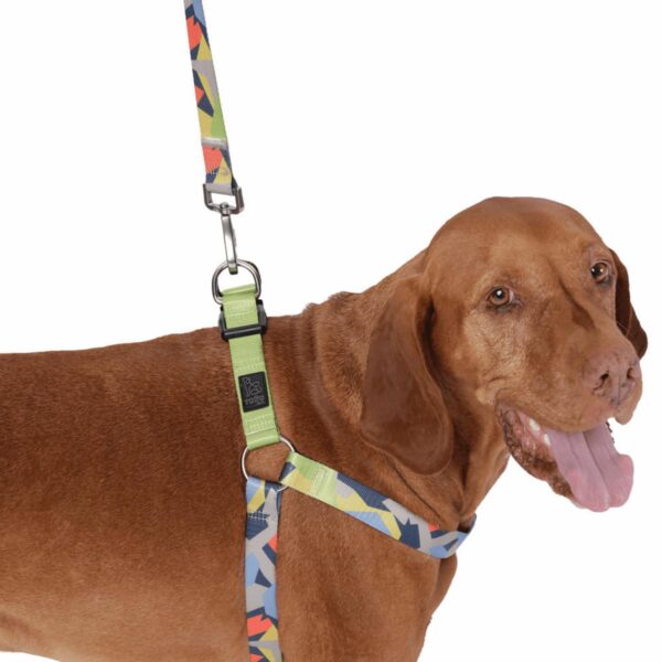 Arnés Para Perro Bruno De Caminata TOTTO PET´S Talla Extra Grande - Imagen 3