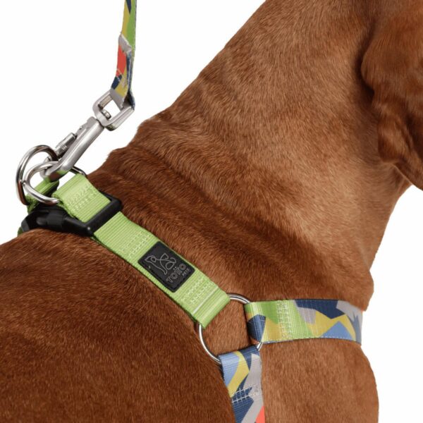 Arnés Para Perro Bruno De Caminata TOTTO PET´S Talla Extra Grande - Imagen 4