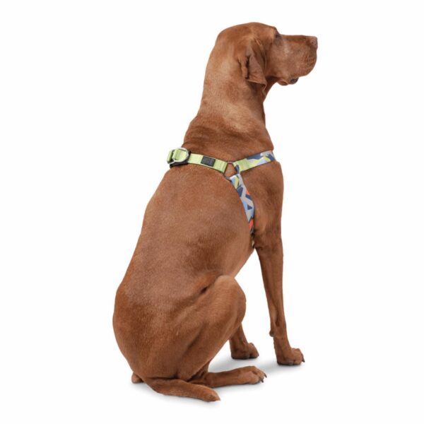 Arnés Para Perro Bruno De Caminata TOTTO PET´S Talla Extra Grande - Imagen 5