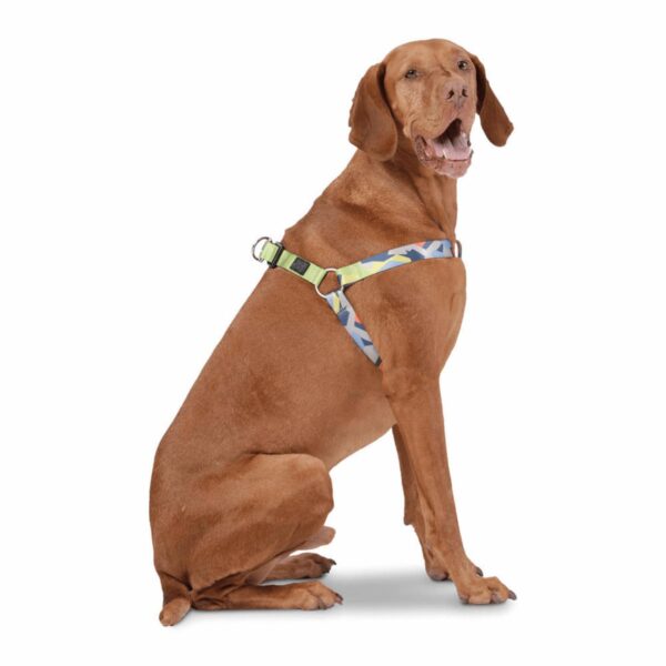 Arnés Para Perro Bruno De Caminata TOTTO PET´S Talla Extra Grande - Imagen 6