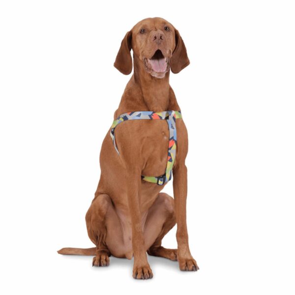 Arnés Para Perro Bruno De Caminata TOTTO PET´S Talla Extra Grande - Imagen 7