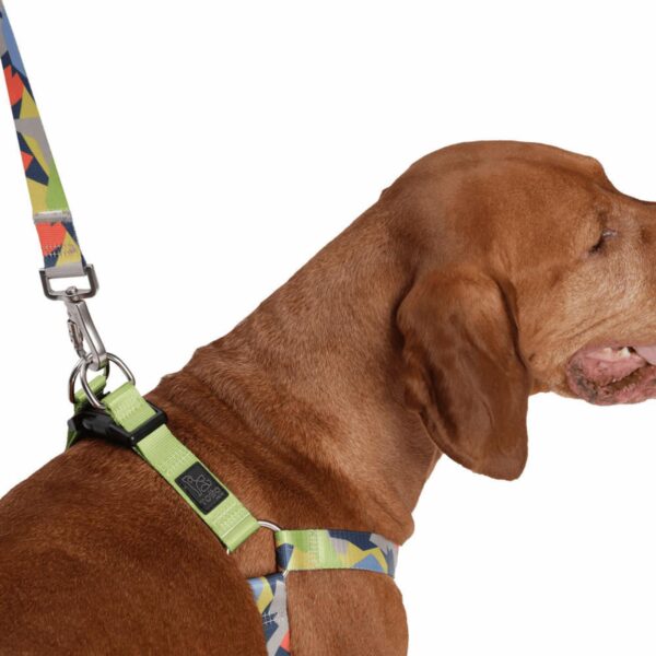 Arnés Para Perro Bruno De Caminata TOTTO PET´S Talla Extra Grande - Imagen 8