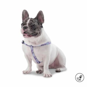 Arnés Para Perro Bruno De Caminata TOTTO PET´S Talla Extra Pequeño
