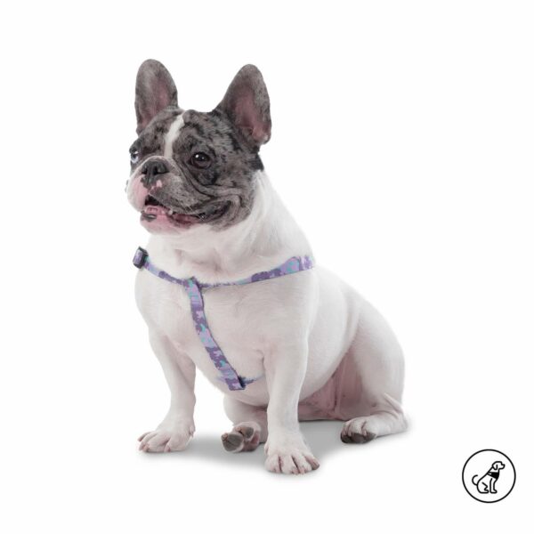 Arnés Para Perro Bruno De Caminata TOTTO PET´S Talla Extra Pequeño