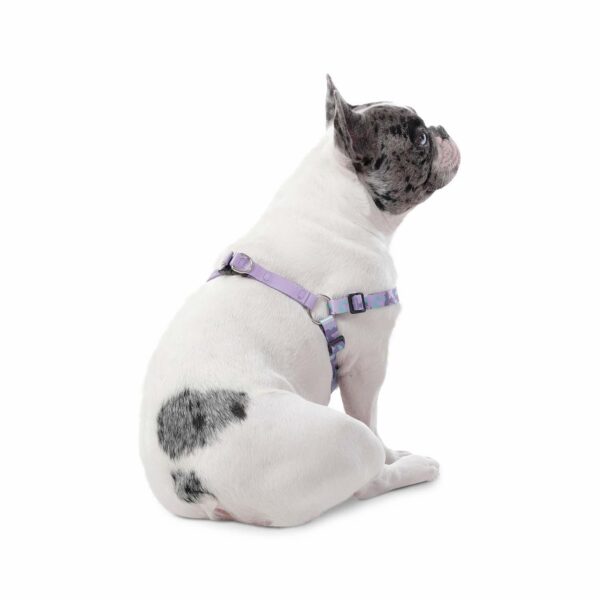 Arnés Para Perro Bruno De Caminata TOTTO PET´S Talla Extra Pequeño - Imagen 2