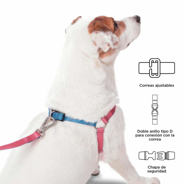 Arnés Para Perro Bruno De Caminata TOTTO PET´S Talla Mediano - Imagen 4