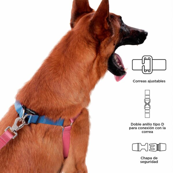 Arnés Para Perro Bruno De Caminata TOTTO PET´S Talla Grande - Imagen 4