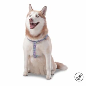 Arnés Para Perro Bruno De Caminata TOTTO PET´S Talla Grande