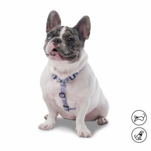 Arnés Para Perro Figgo De Caminata TOTTO PET´S Talla Extra Pequeño