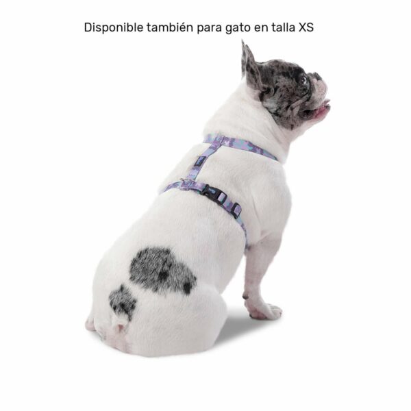Arnés Para Perro Figgo De Caminata TOTTO PET´S Talla Extra Pequeño - Imagen 2
