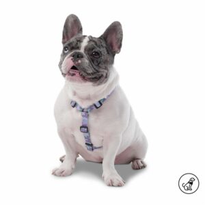 Arnés Para Perro Figgo De Caminata TOTTO PET´S Talla Mediano