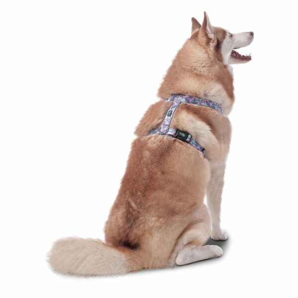 Arnés Para Perro Figgo De Caminata TOTTO PET´S Talla Extra Grande - Imagen 2