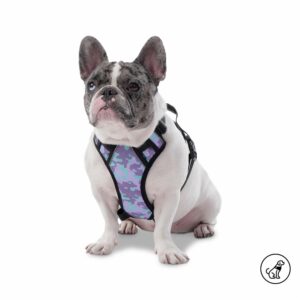 Arnés Para Perro Pechera De Caminata Heikul TOTTO PET´S Talla Pequeño