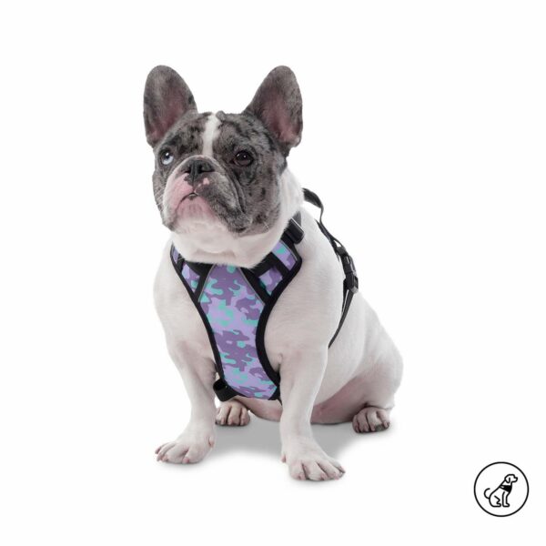 Arnés Para Perro Pechera De Caminata Heikul TOTTO PET´S Talla Pequeño