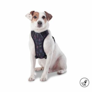 Arnés Para Perro Pechera De Caminata Heikul TOTTO PET´S Talla Pequeño