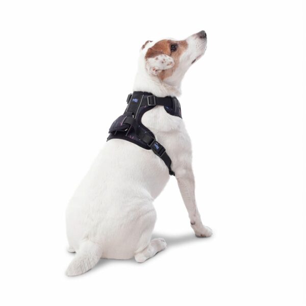 Arnés Para Perro Pechera De Caminata Heikul TOTTO PET´S Talla Pequeño - Imagen 2