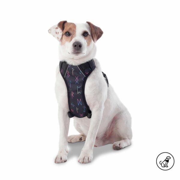 Arnés Para Perro Pechera De Caminata Heikul TOTTO PET´S Talla Mediano