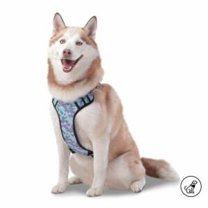 Arnés Para Perro Pechera De Caminata Heikul TOTTO PET´S Talla Grande