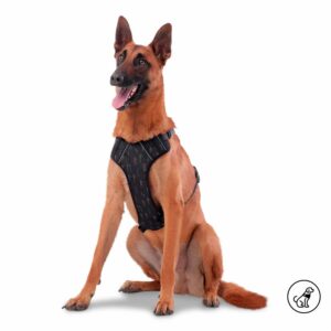 Arnés Para Perro Pechera De Caminata Heikul TOTTO PET´S Talla Grande