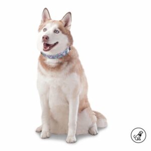 Collar De Mascota Ajustable Mylu TOTTO PET´S Talla Grande
