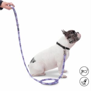 Correa Para Mascota Con Manija Sencilla Odye TOTTO PET´S Talla Pequeño