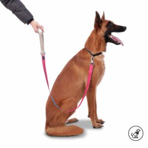 Correa Para Mascota Con Manija Sencilla Odye TOTTO PET´S Talla Grande