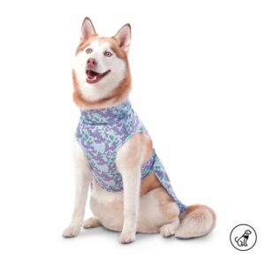 Capa De Mascota Para Lluvia Susy TOTTO PET´S Talla Grande