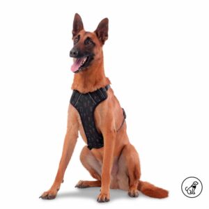 Arnés Para Perro Pechera De Caminata Heikul TOTTO PET´S Talla Extra Grande