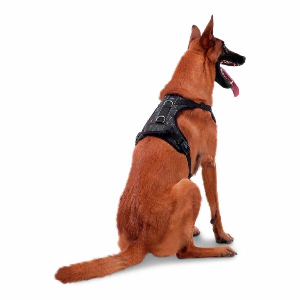 Arnés Para Perro Pechera De Caminata Heikul TOTTO PET´S Talla Extra Grande - Imagen 2