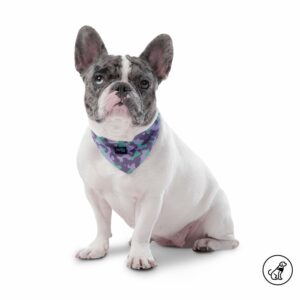 Pañuelo De Mascota Color Menta Doble Faz Reversible TOTTO PET´S Talla Mediano