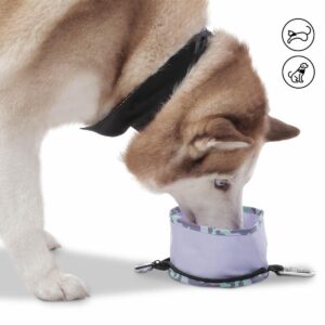 Bebedero Para Mascota Portátil Vito TOTTO PET´S Talla Única