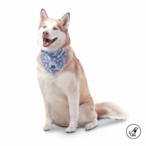 Pañuelo De Mascota Color Menta Doble Faz Reversible TOTTO PET´S Talla Extra Grande