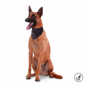 Pañuelo De Mascota Color Menta Doble Faz Reversible TOTTO PET´S Talla Extra Grande