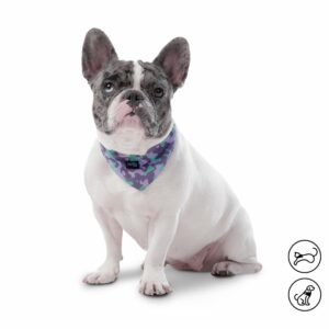 Pañuelo De Mascota Color Menta Doble Faz Reversible TOTTO PET´S Talla Pequeño
