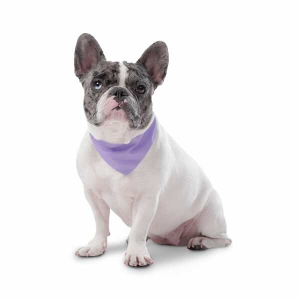Pañuelo De Mascota Color Menta Doble Faz Reversible TOTTO PET´S Talla Pequeño - Imagen 2