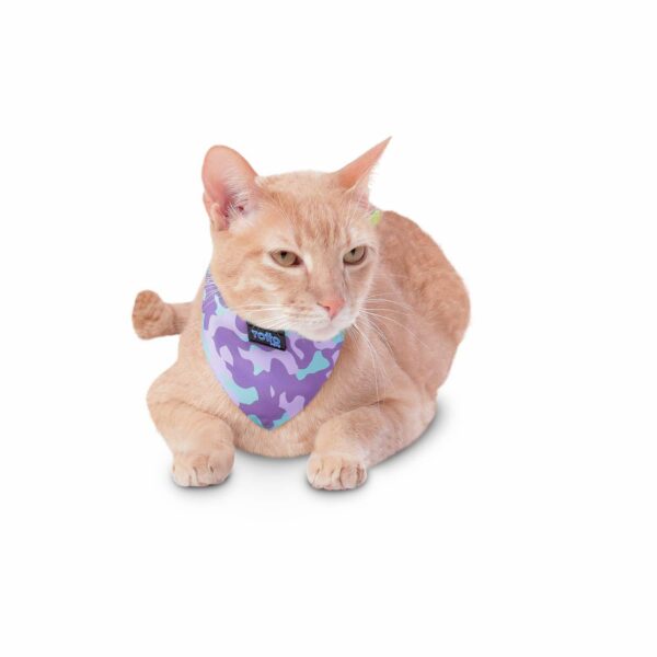 Pañuelo De Mascota Color Menta Doble Faz Reversible TOTTO PET´S Talla Pequeño - Imagen 3