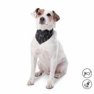 Pañuelo De Mascota Color Menta Doble Faz Reversible TOTTO PET´S Talla Pequeño