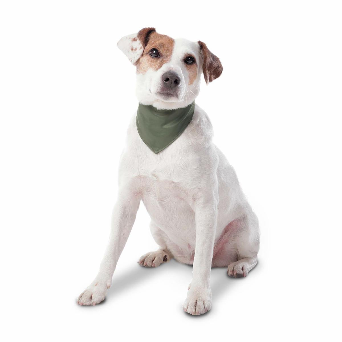 Pañuelo De Mascota Color Menta Doble Faz Reversible TOTTO PET´S Talla Pequeño