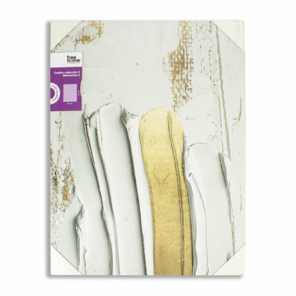 Cuadro Decorativo Abstractos FREE HOME 1 Pieza
