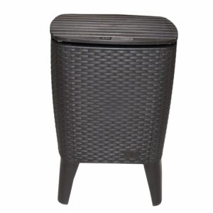 Mesa Hielera Marrón PLASTICOS MQ 58 Cm X 41,5 Cm