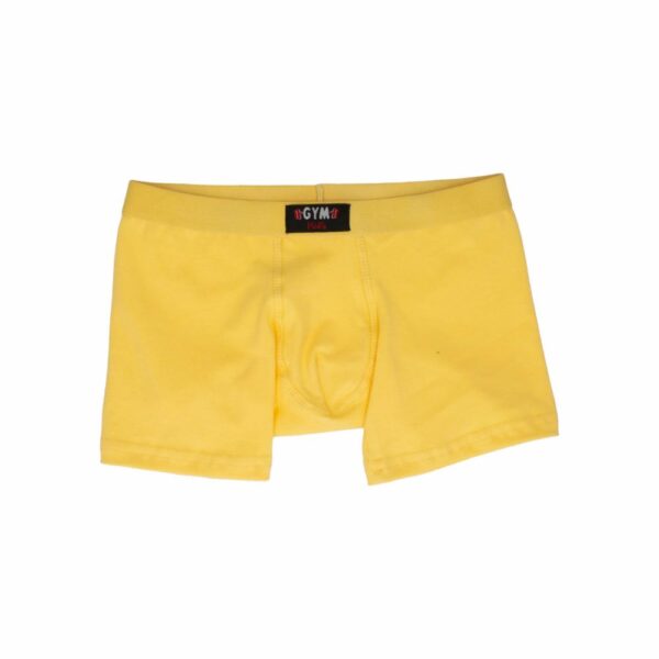 Amarillo De Caballero Para Fin De Año GYM KIDS - Imagen 2