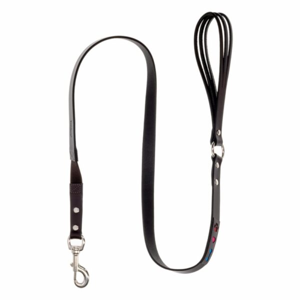 Collar Para Perro Universal Con Amortiguador Elástico TOSCANO 120Cm
