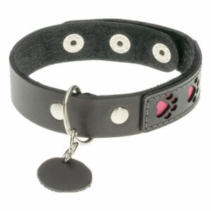 Collar Para Gato De Cuero Diseño Color Fucsia TOSCANO 22-26Cm
