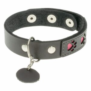 Collar Para Gato De Cuero Diseño Color Fucsia TOSCANO PET 22-26Cm