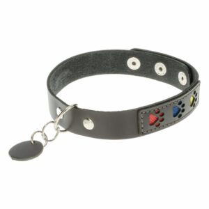 Collar Para Gato De Cuero Diseño Color Tricolor TOSCANO 28-32Cm