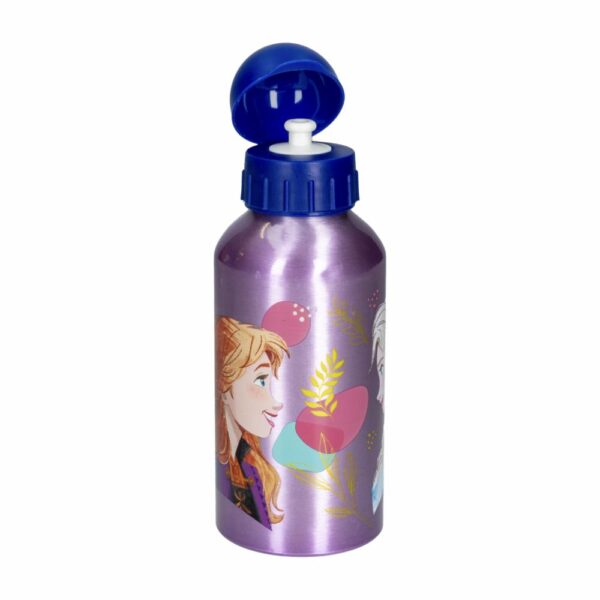 Tomatodo De Aluminio Frozzen DISNEY 560 Ml - Imagen 2