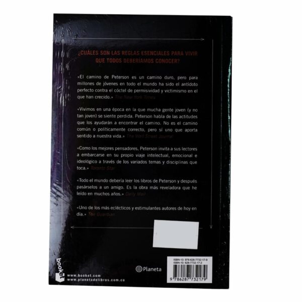 Libro Mas Alla Del Orden BOOKET 457 Páginas