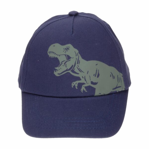 Set Niño Gafas Y Gorra Azul  Diseño Dino AE - Imagen 3